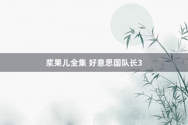 浆果儿全集 好意思国队长3