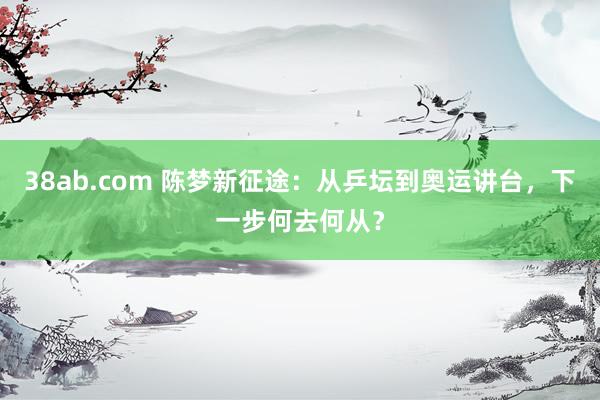 38ab.com 陈梦新征途：从乒坛到奥运讲台，下一步何去何从？