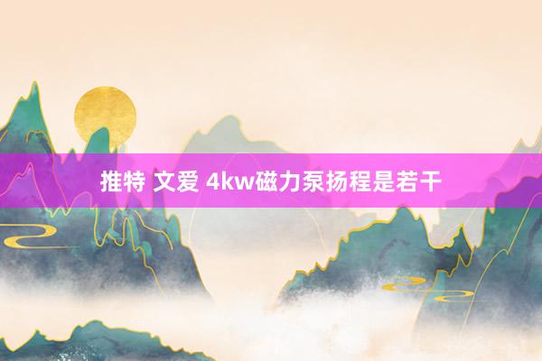 推特 文爱 4kw磁力泵扬程是若干