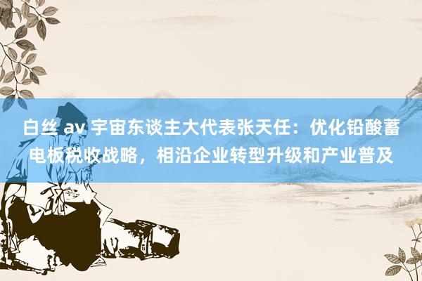 白丝 av 宇宙东谈主大代表张天任：优化铅酸蓄电板税收战略，相沿企业转型升级和产业普及