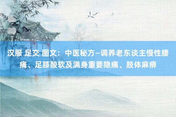 汉服 足交 图文：中医秘方—调养老东谈主慢性腰痛、足膝酸软及满身重要隐痛、肢体麻痹