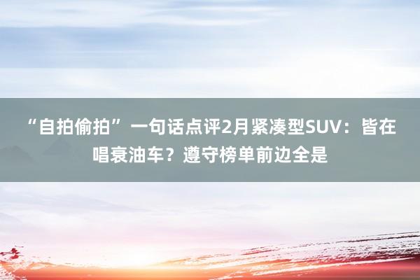 “自拍偷拍” 一句话点评2月紧凑型SUV：皆在唱衰油车？遵守榜单前边全是